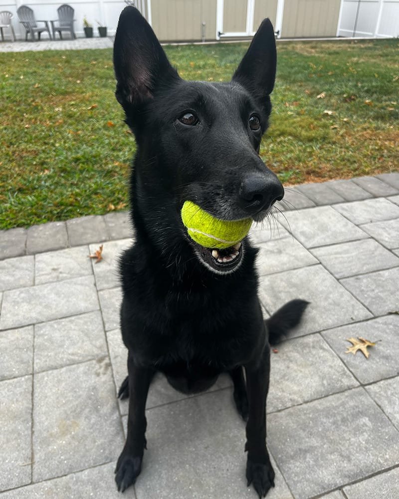 Upper Level Consulting