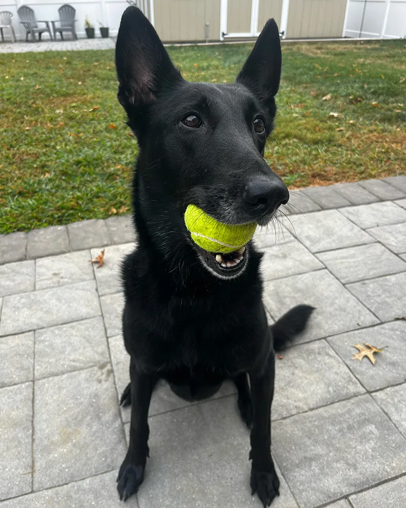 Upper Level Consulting